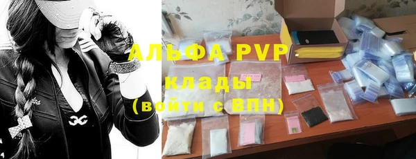 прущие грибы Арсеньев