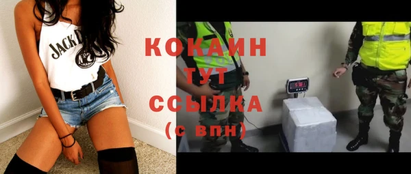 прущие грибы Арсеньев