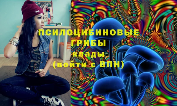 прущие грибы Арсеньев