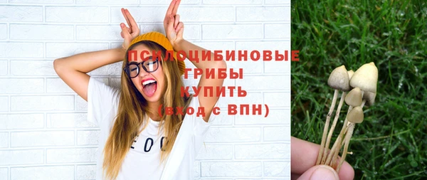 прущие грибы Арсеньев