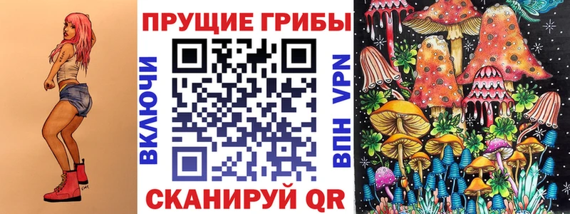 сколько стоит  Тутаев  Псилоцибиновые грибы Psilocybe 
